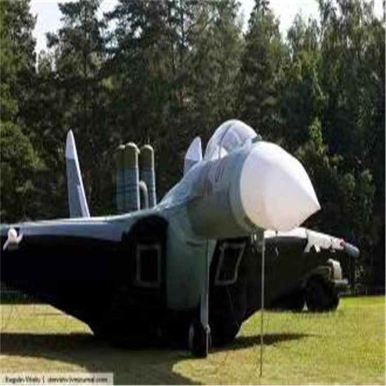铜陵充气模型飞机制造商家